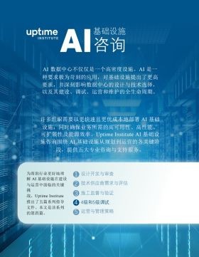 AI in Practice Paper: Level 4 and 5 Commissioning (Chinese)
