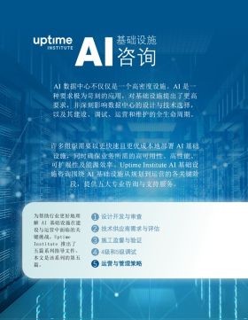 AI in Practice Paper: Operations and Management Strategy (Chinese)